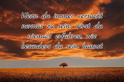 Sprüche zum Nachdenken Sprüche zum Nachdenken